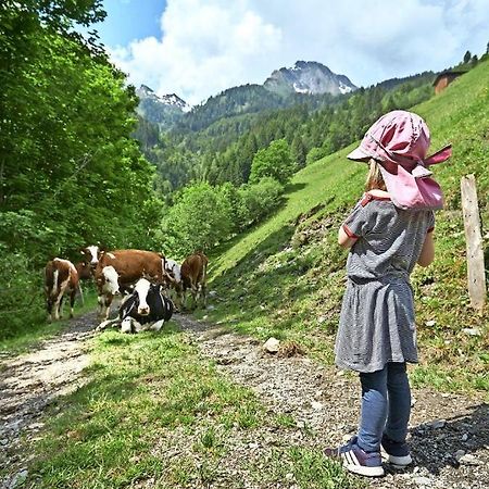 Nostalgische Ferienwohnung -Kinderland Bergheimat , Unsere kleine Farm Linthal Exterior foto
